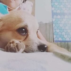 Meet your Posher, Christian